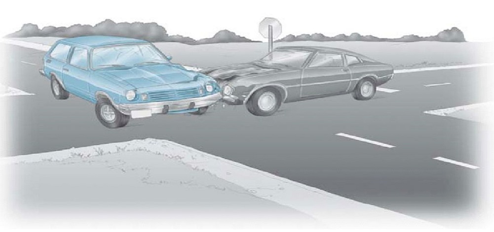 Elizabeth Loftus ve John Palmer – Araba Kazası Deneyi | Kütahya Pedagog